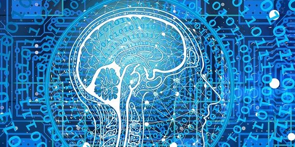 neusosciences Stop au porno