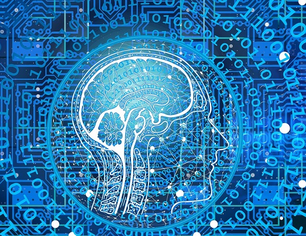 neusosciences Stop au porno