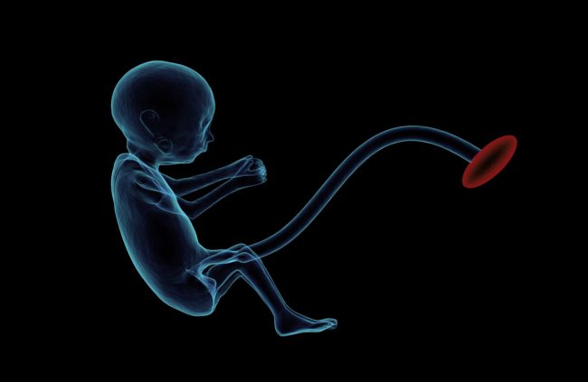 foetus Stop au porno
